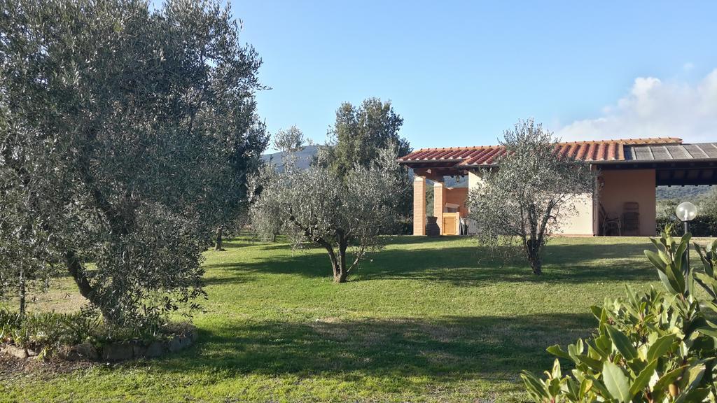 Agriturismo Casa Andreina Кастільйоне-делла-Пеская Екстер'єр фото