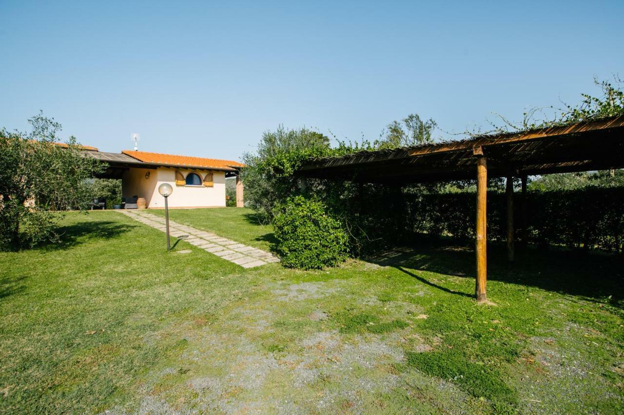 Agriturismo Casa Andreina Кастільйоне-делла-Пеская Екстер'єр фото