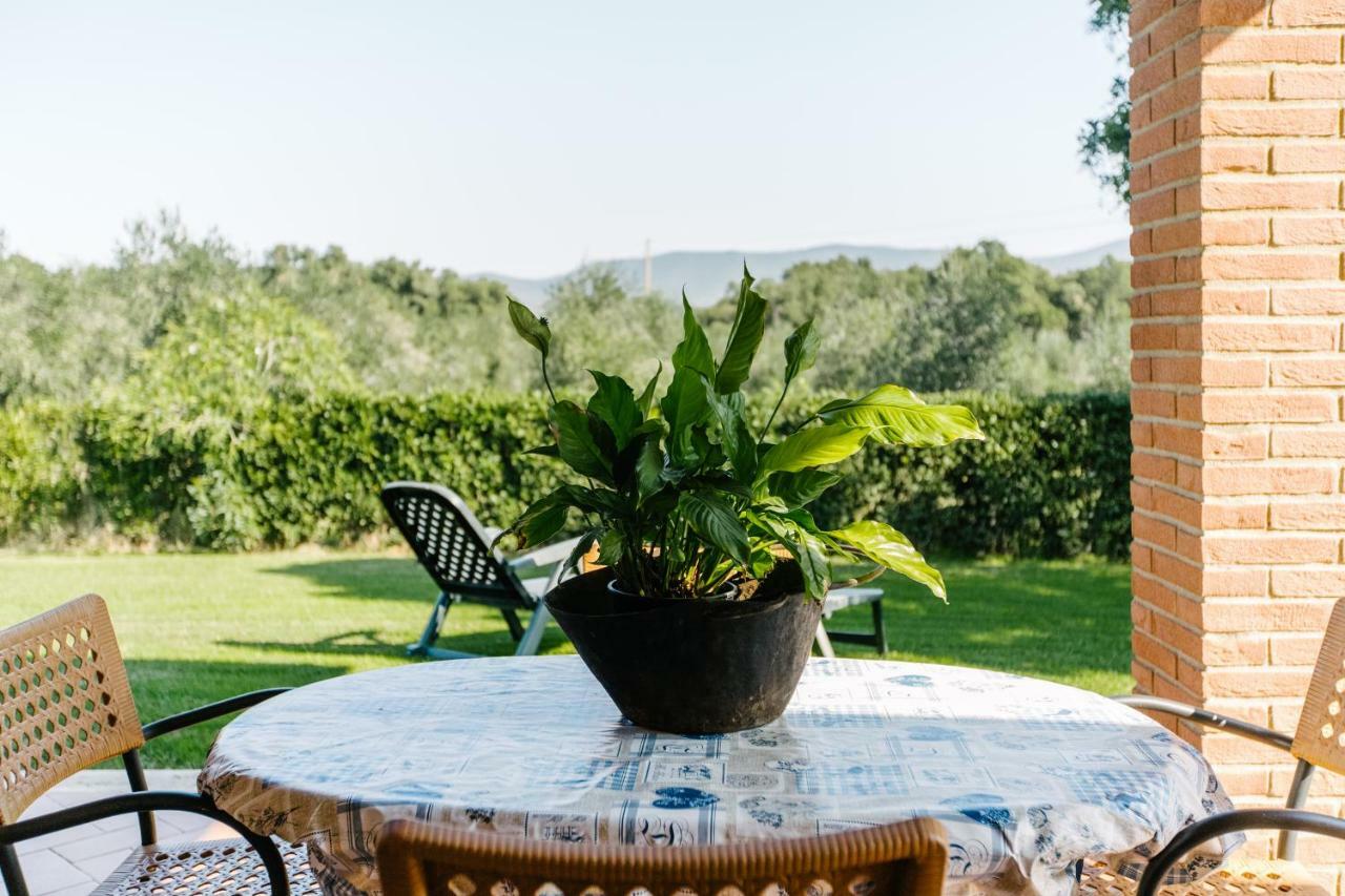 Agriturismo Casa Andreina Кастільйоне-делла-Пеская Екстер'єр фото