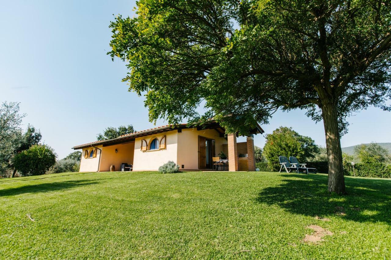 Agriturismo Casa Andreina Кастільйоне-делла-Пеская Екстер'єр фото