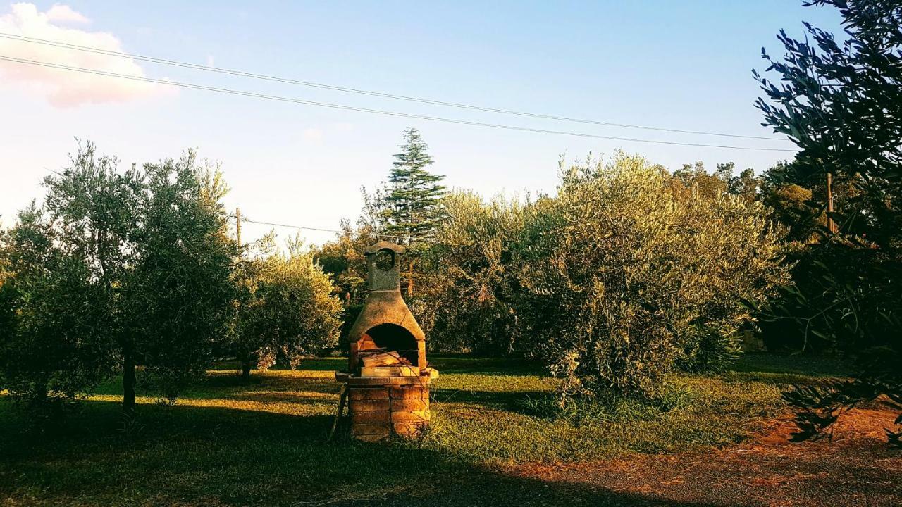 Agriturismo Casa Andreina Кастільйоне-делла-Пеская Екстер'єр фото
