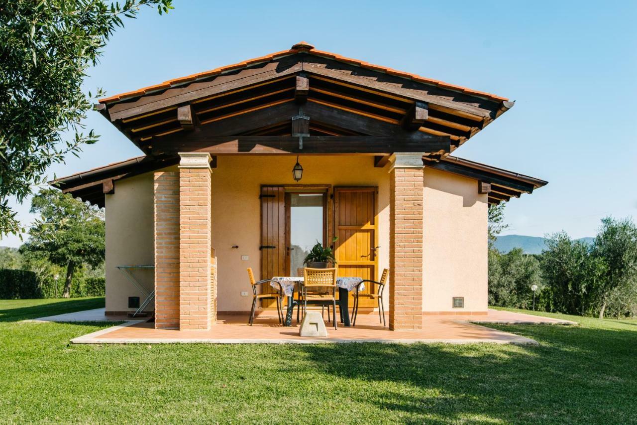 Agriturismo Casa Andreina Кастільйоне-делла-Пеская Екстер'єр фото