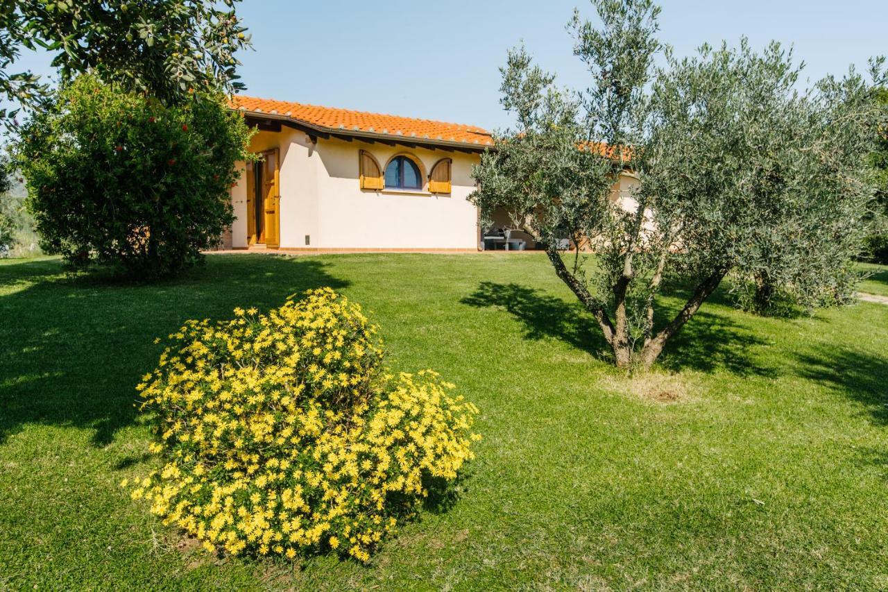 Agriturismo Casa Andreina Кастільйоне-делла-Пеская Екстер'єр фото